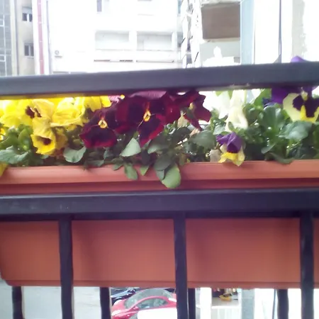 Nenov Apartment